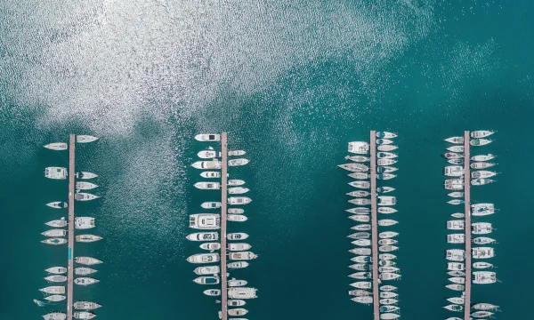113-