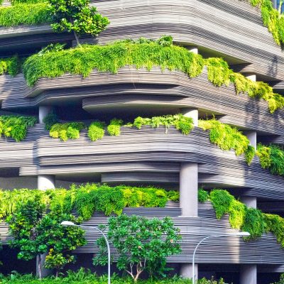 plant_tree_green_architecture_modern-119760.jpg